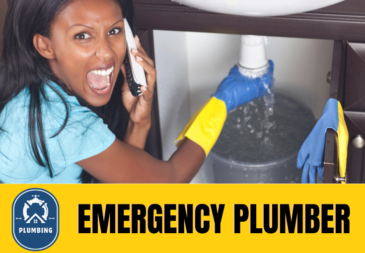emergency plumber Widnes