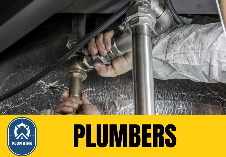  plumber Lunts Heath